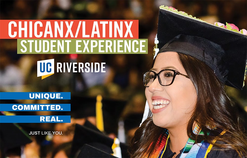 Chicanx Latinx Student Experience Brochure
